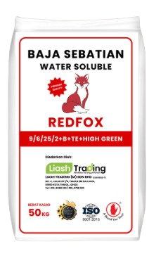 BAJA REDFOX