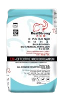 REAL STRONG 11/11/11/2