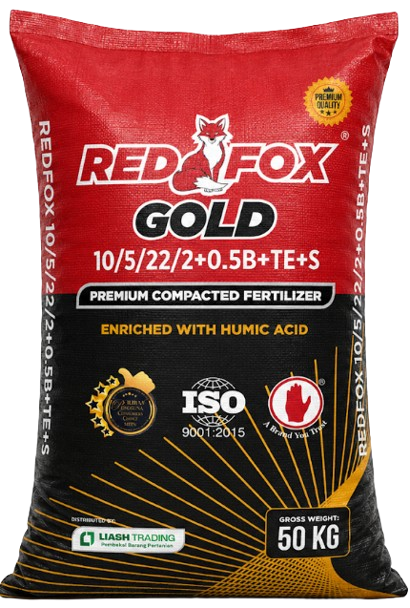 BAJA REDFOX GOLD