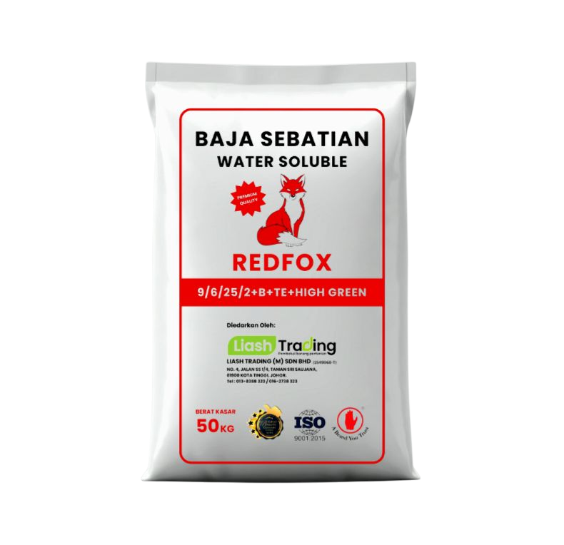 Baja REDFOX