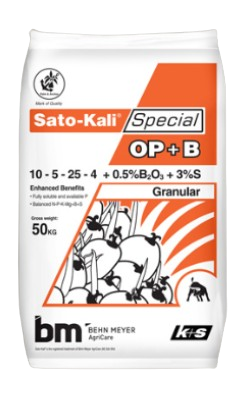 SATO-KALI SPECIAL OP+B